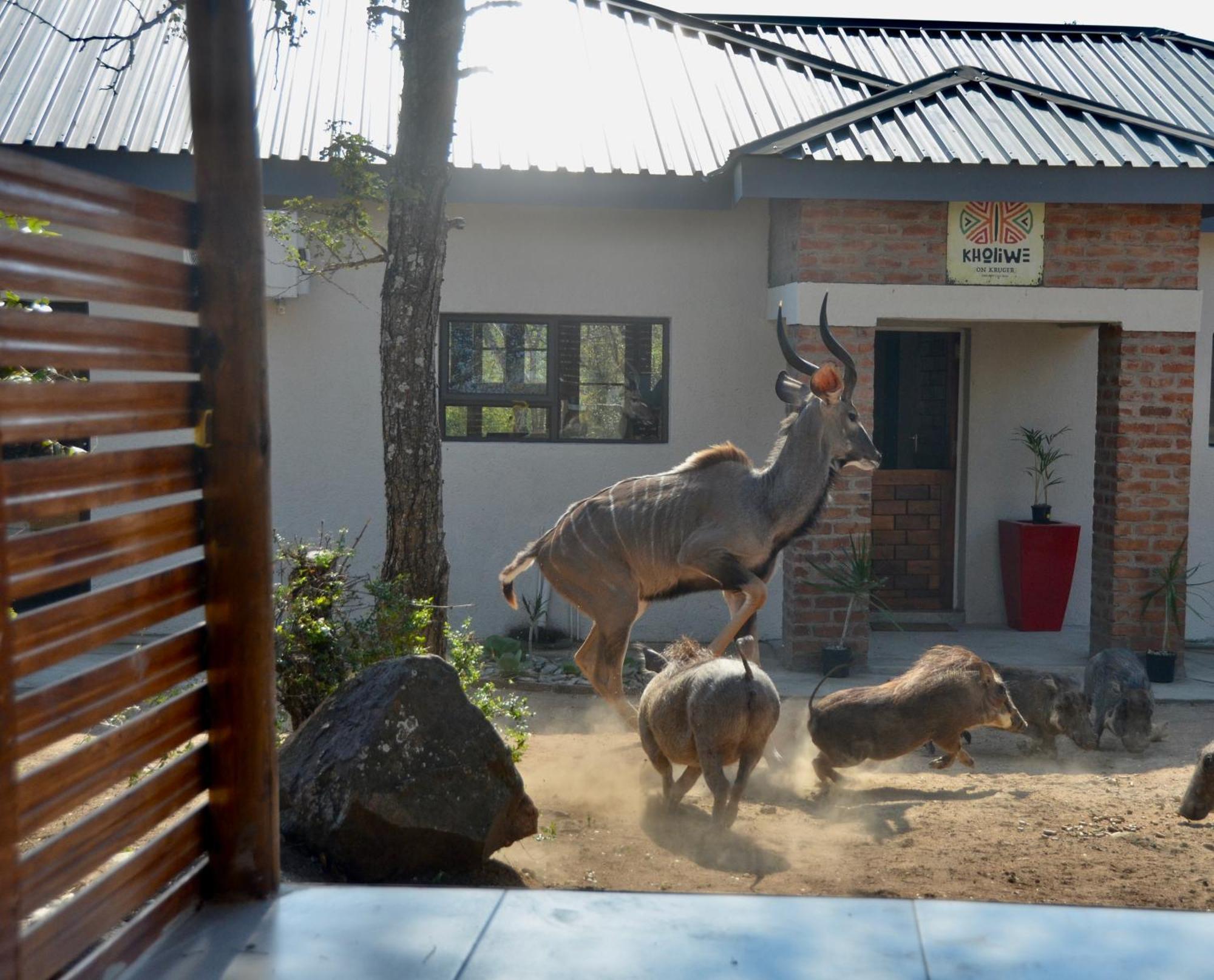 Kholiwe On Kruger Lodge & Safaris Marloth Park Exterior photo