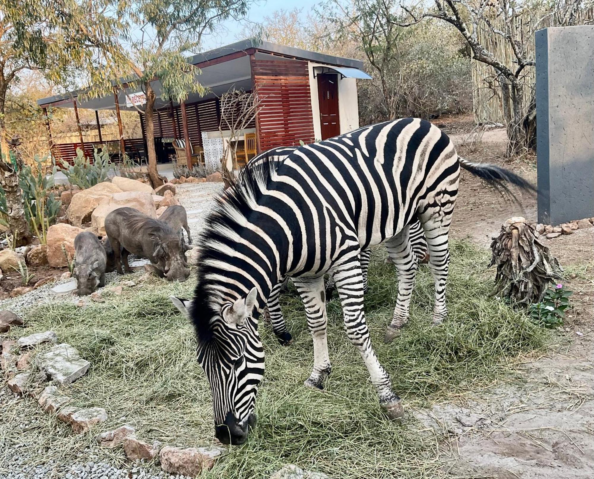 Kholiwe On Kruger Lodge & Safaris Marloth Park Exterior photo