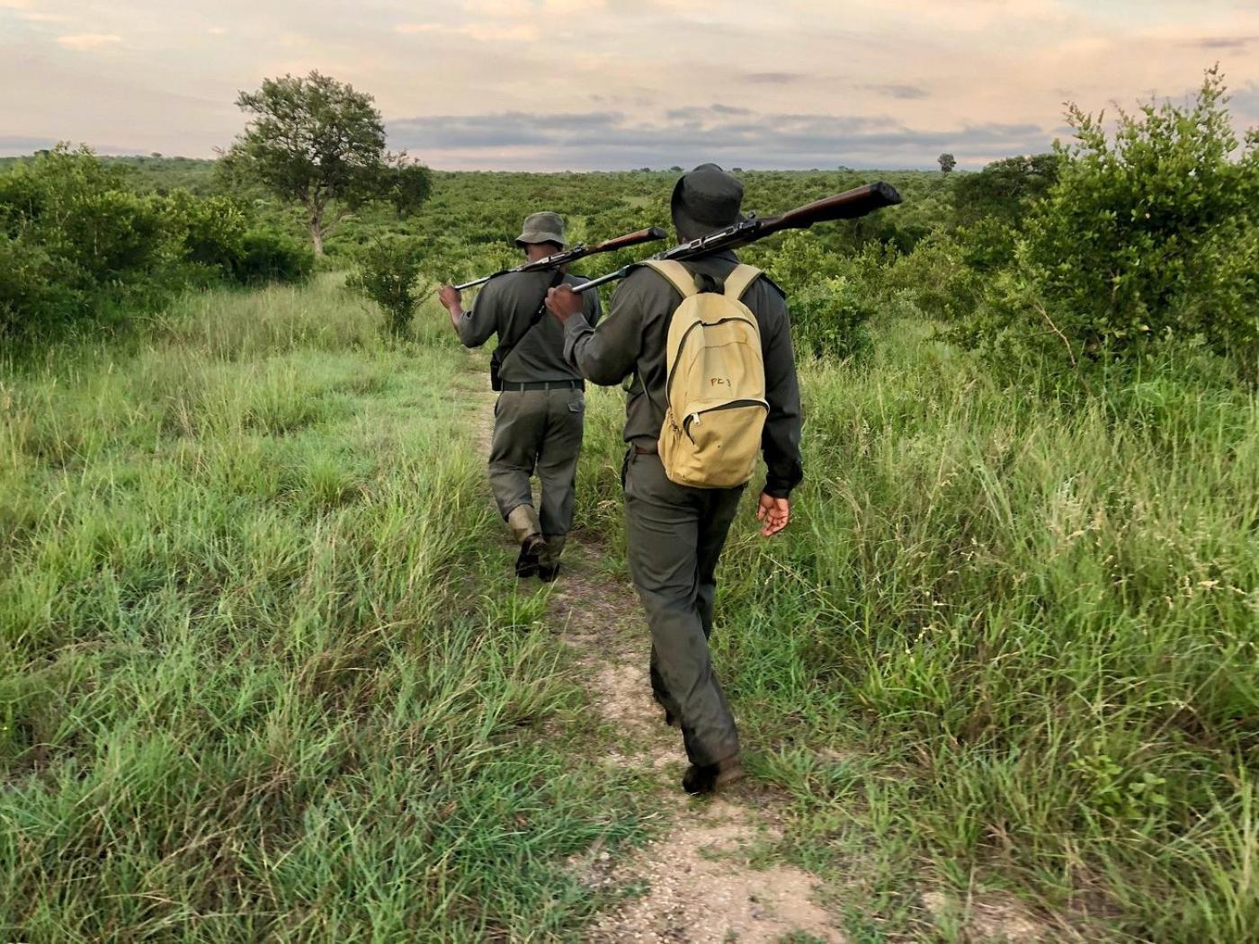 Kholiwe On Kruger Lodge & Safaris Marloth Park Exterior photo